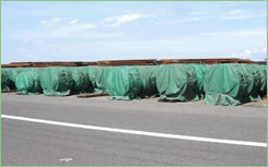 ���̑��̎{�H���Ⴛ�̂P