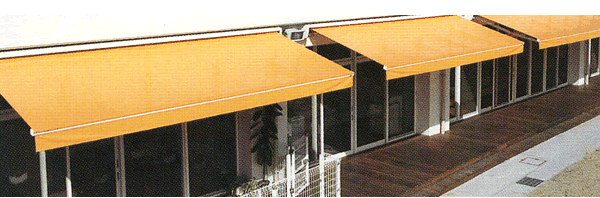 �I�[�j���O �C���[�W�摜